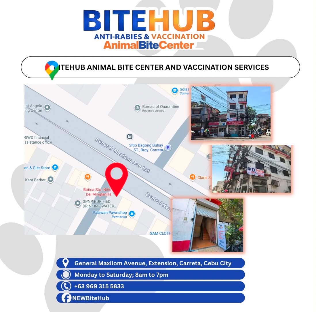 Cebu Business Directory - BiteHub Animal Bite Center & Vaccination Services – Cebu City Branch - Photo 11