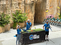 Cebu Business Directory - Cebu Ocean Park - Photo 9