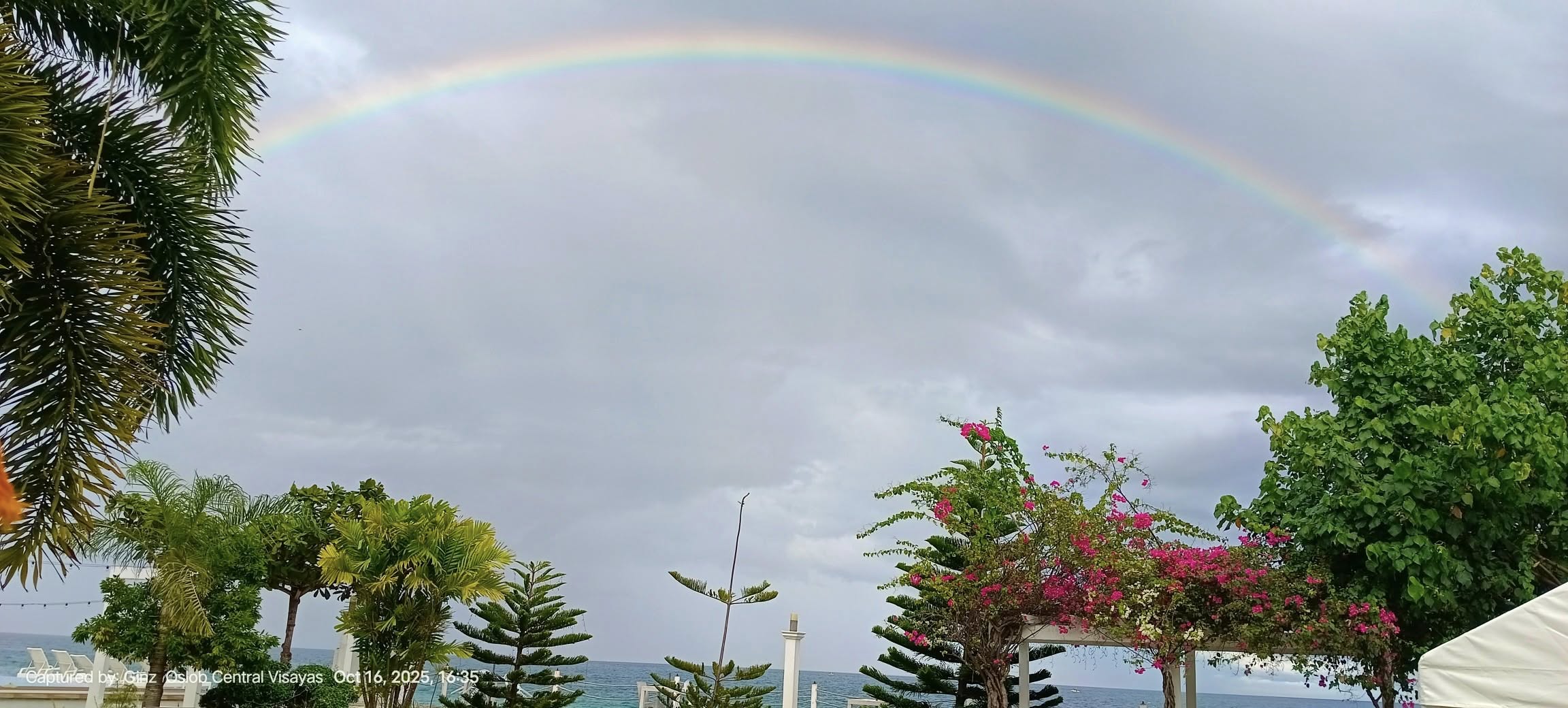 Cebu Business Directory - Seascape Beach Resort - Cebu - Photo 7