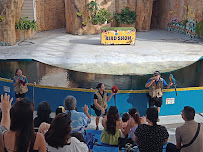 Cebu Business Directory - Cebu Ocean Park - Photo 7