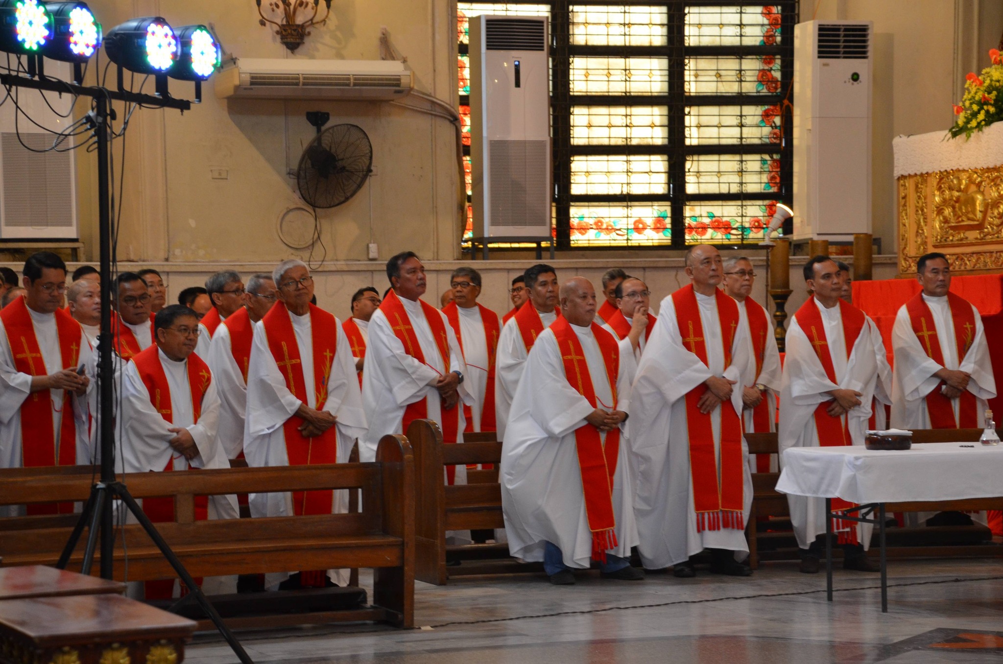 Cebu Business Directory - The Cebu Metropolitan Cathedral - Photo 7