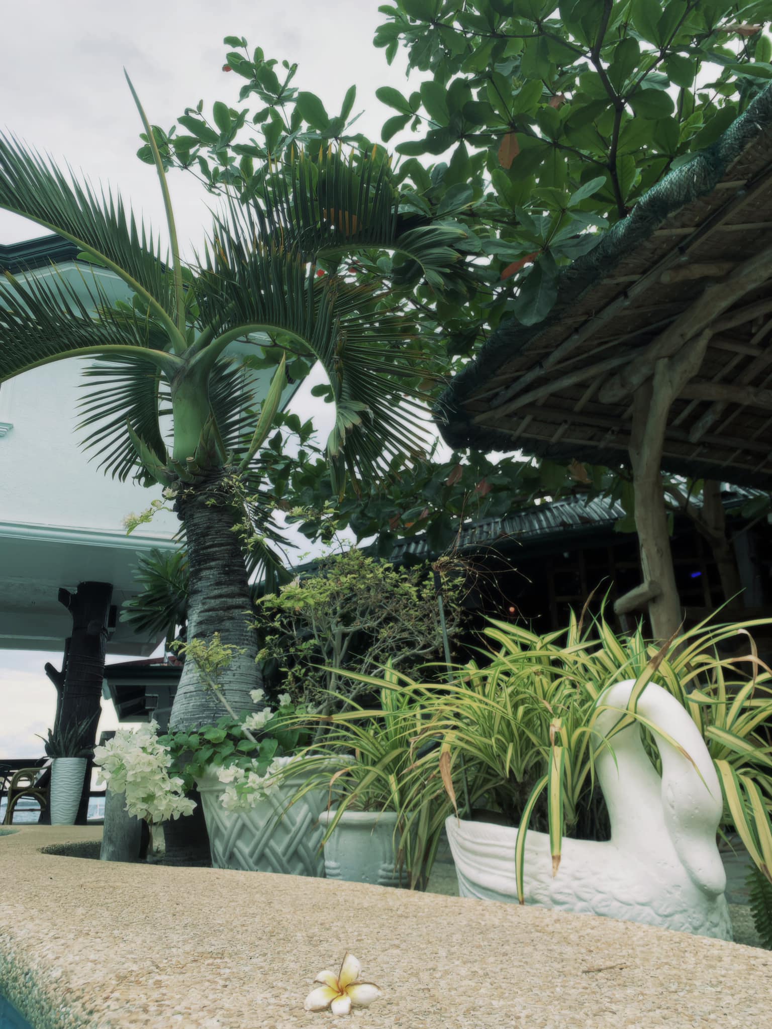 Cebu Business Directory - Love’s Beach & Dive Resort - Cebu - Photo 4