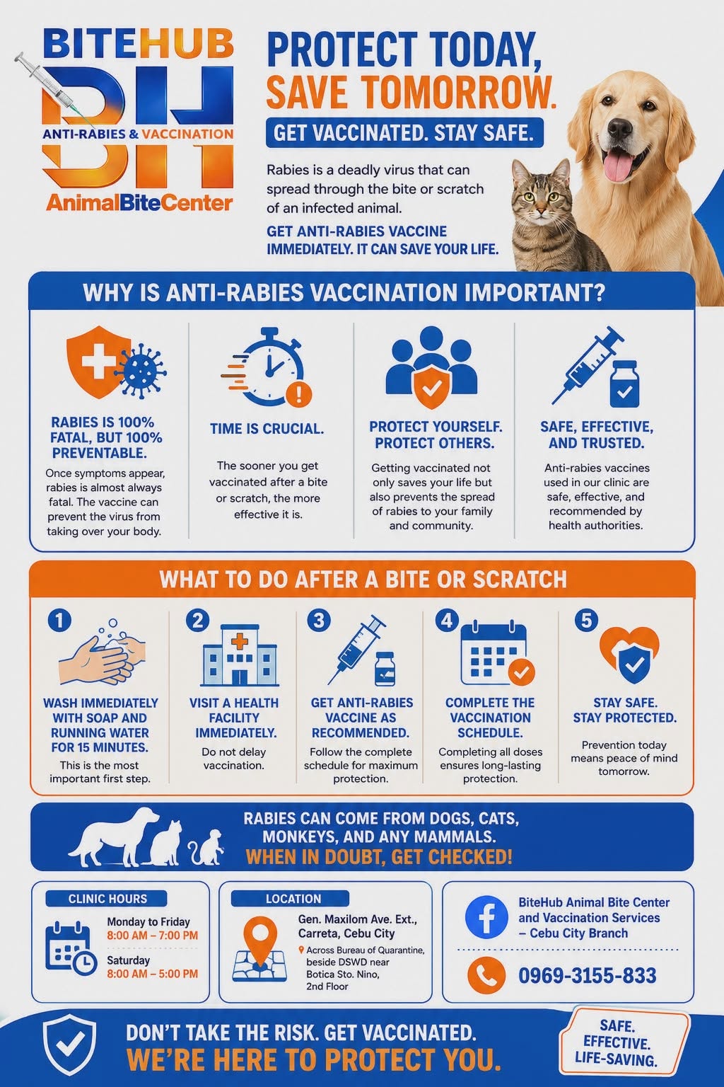 Cebu Business Directory - BiteHub Animal Bite Center & Vaccination Services – Cebu City Branch - Photo 10