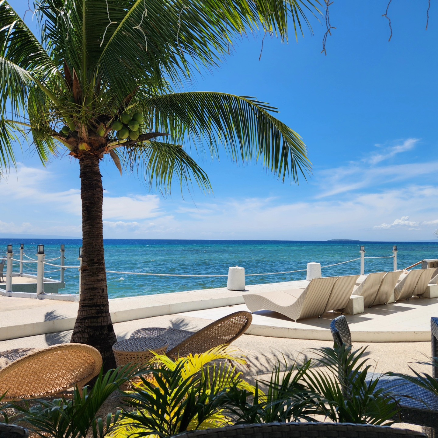 Cebu Business Directory - Down South 118 Beach Resort - Photo 3