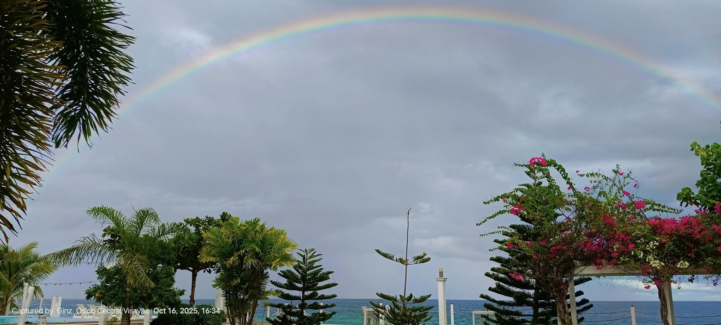 Cebu Business Directory - Seascape Beach Resort - Cebu - Gallery 6