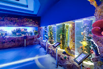 Cebu Business Directory - Cebu Ocean Park - Photo 10