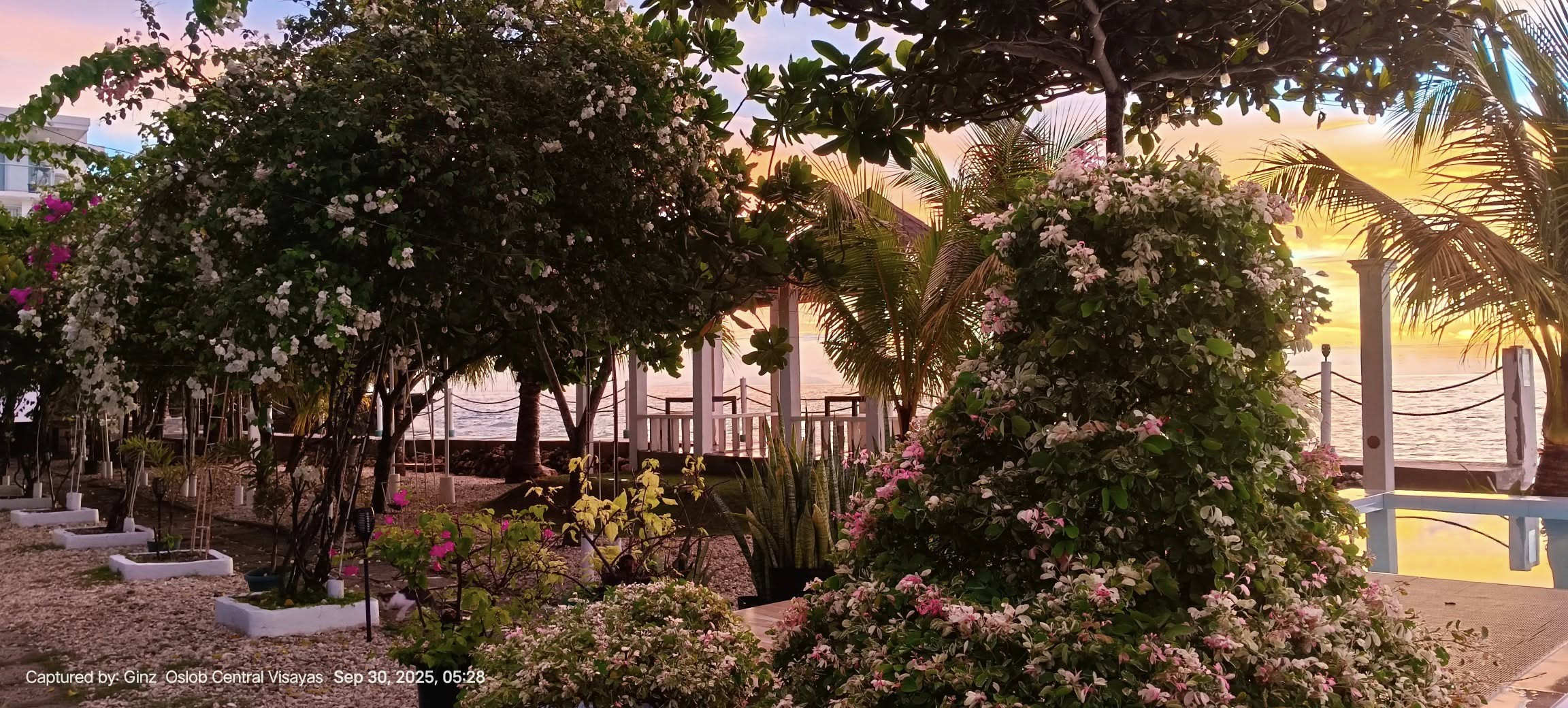Cebu Business Directory - Seascape Beach Resort - Cebu - Photo 10