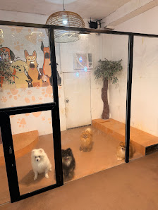 Cebu Business Directory - Britney's Cafe (5R Dog Cafe) - Photo 3