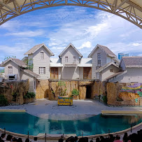 Cebu Business Directory - Cebu Ocean Park - Photo 2