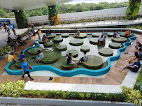 Cebu Business Directory - Cebu Ocean Park - Photo 6