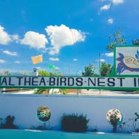 Cebu Business Directory - Althea Birds Nest Inn logo
