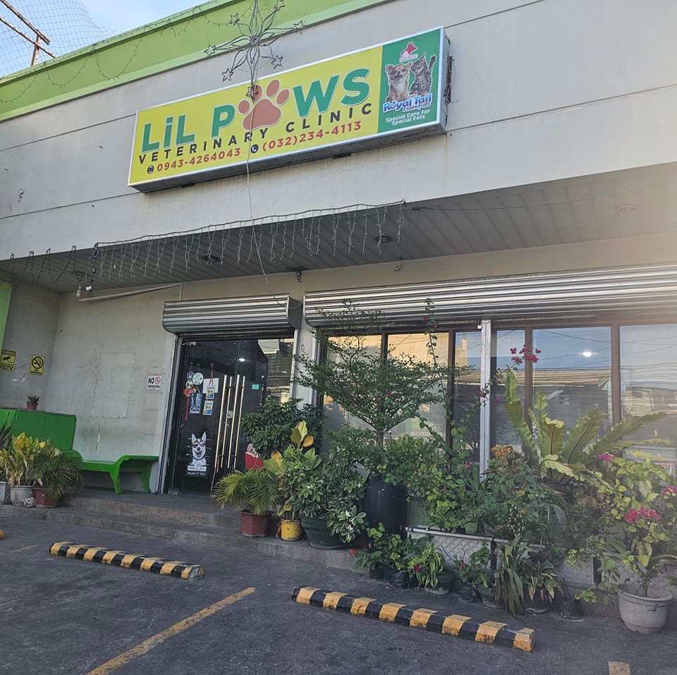 Cebu Business Directory - Lil Paws Veterinary Clinic logo