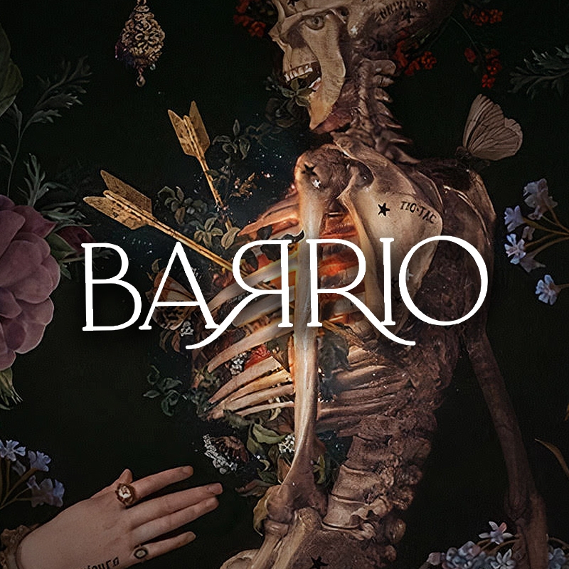 Cebu Business Directory - Barrio Bar and Lounge logo