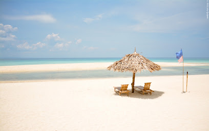 Cebu Business Directory - Cebu and Bohol Tour Specialist Inc. logo