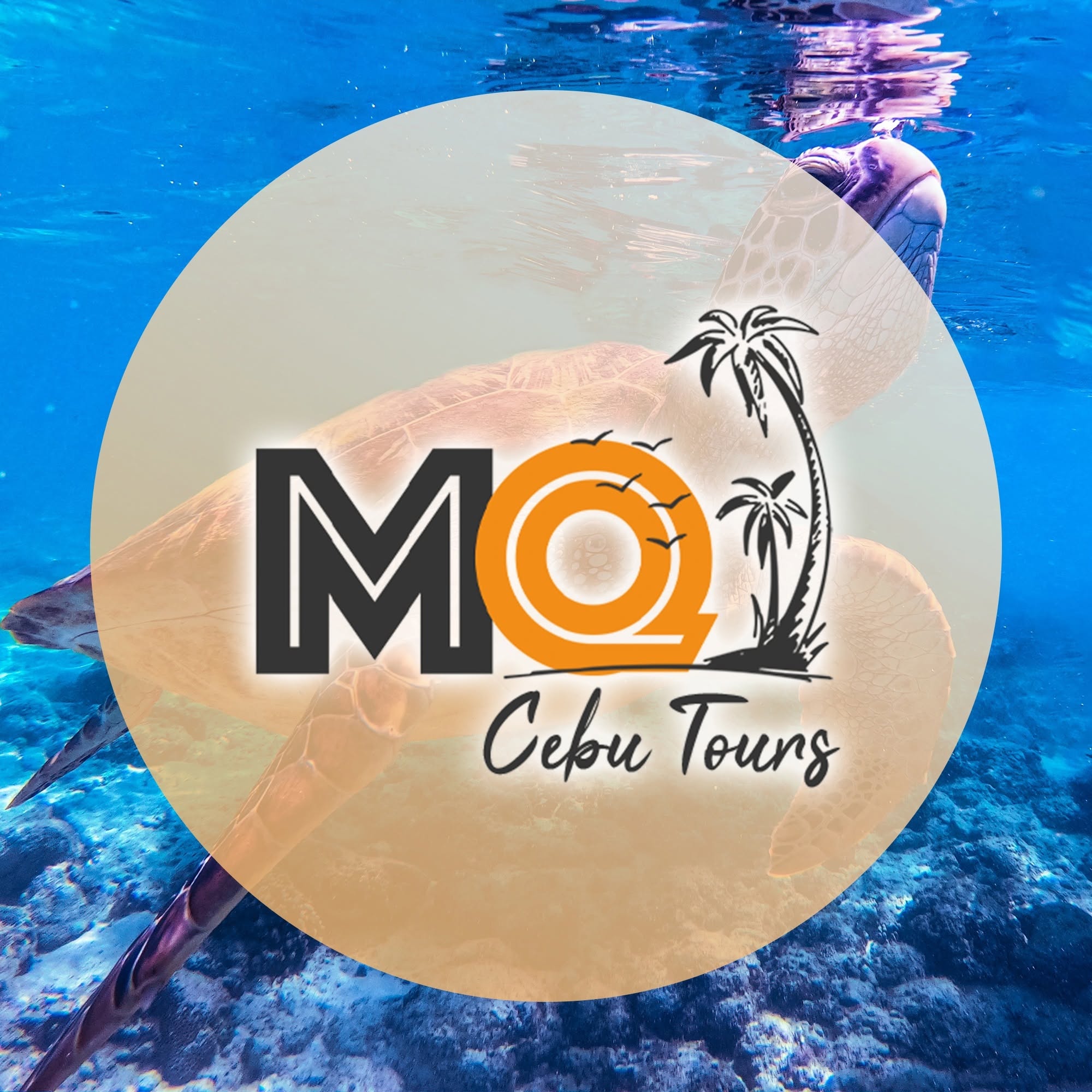 Cebu Business Directory - Marquel Tourist Transport Services logo