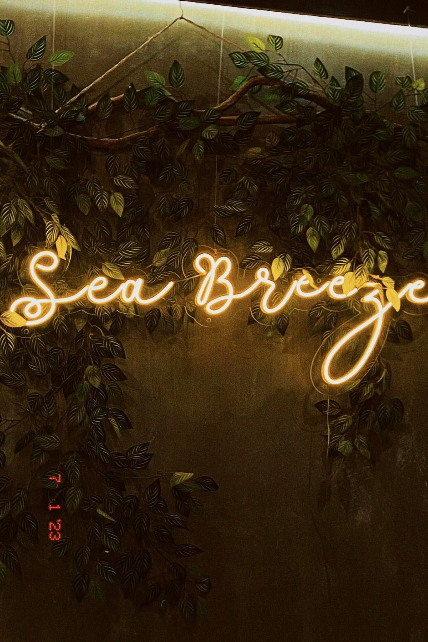 Cebu Business Directory - Sea Breeze faB Cafe logo