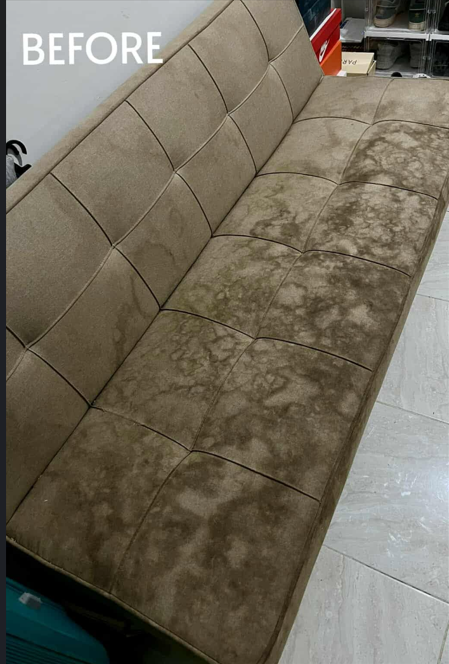 Cebu Business Directory - Single-seater sofa Cleaning - Before