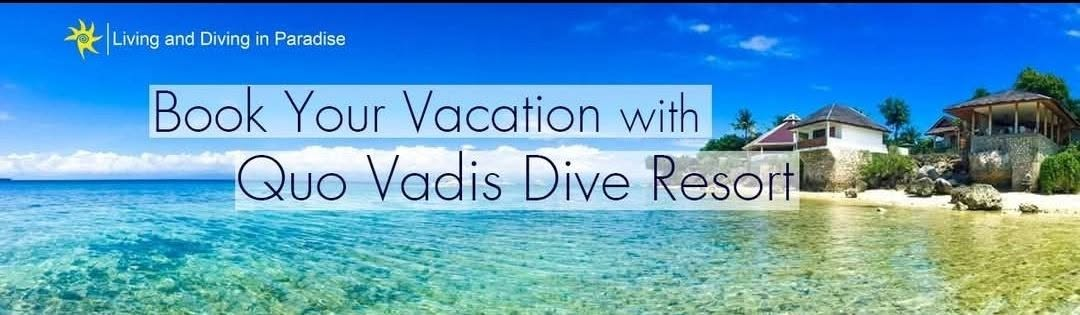 Cebu Business Directory - Quo Vadis Dive Resort - Photo 3