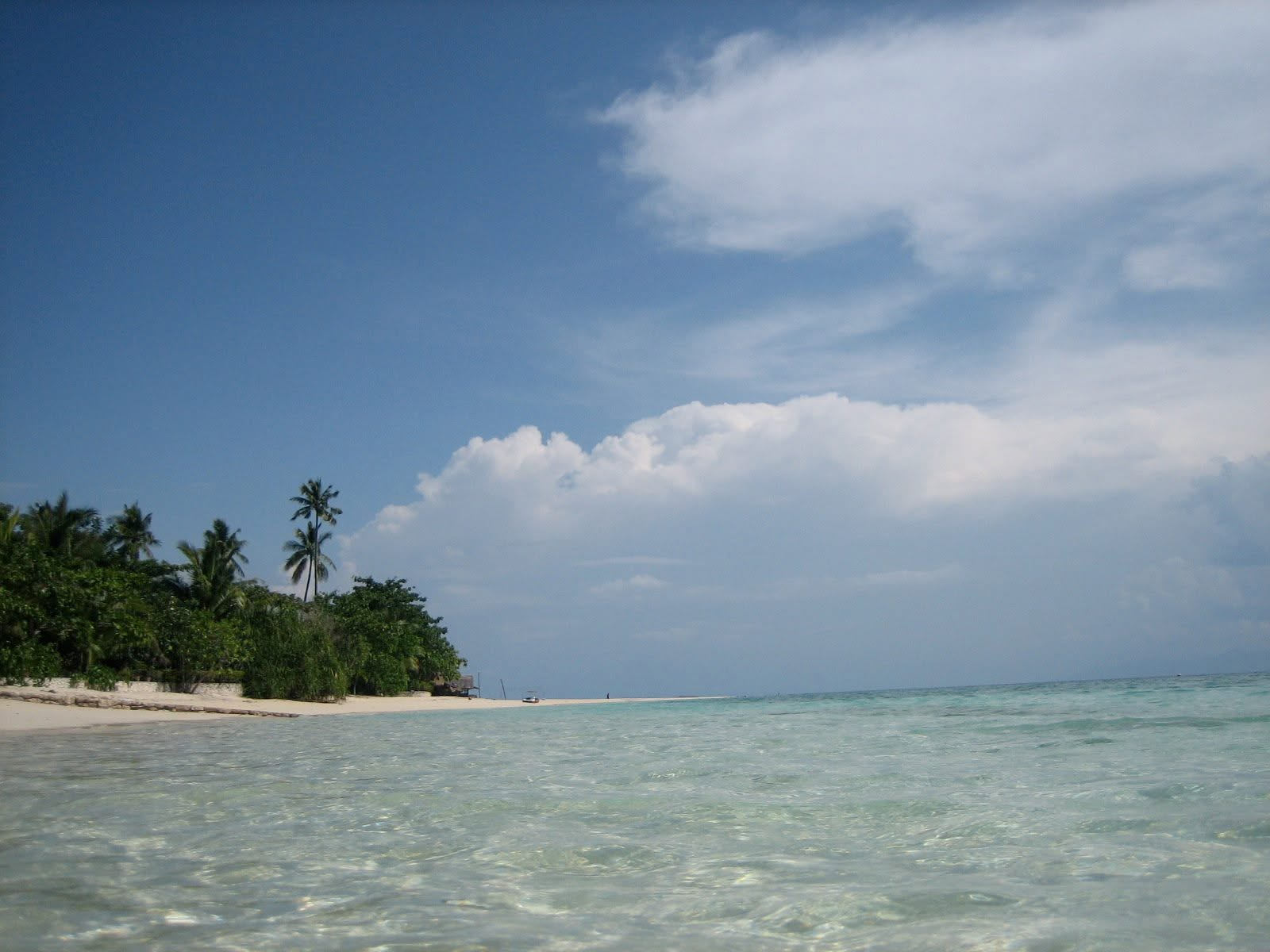 Cebu Business Directory - White Beach Oceanfront House - Gallery 3