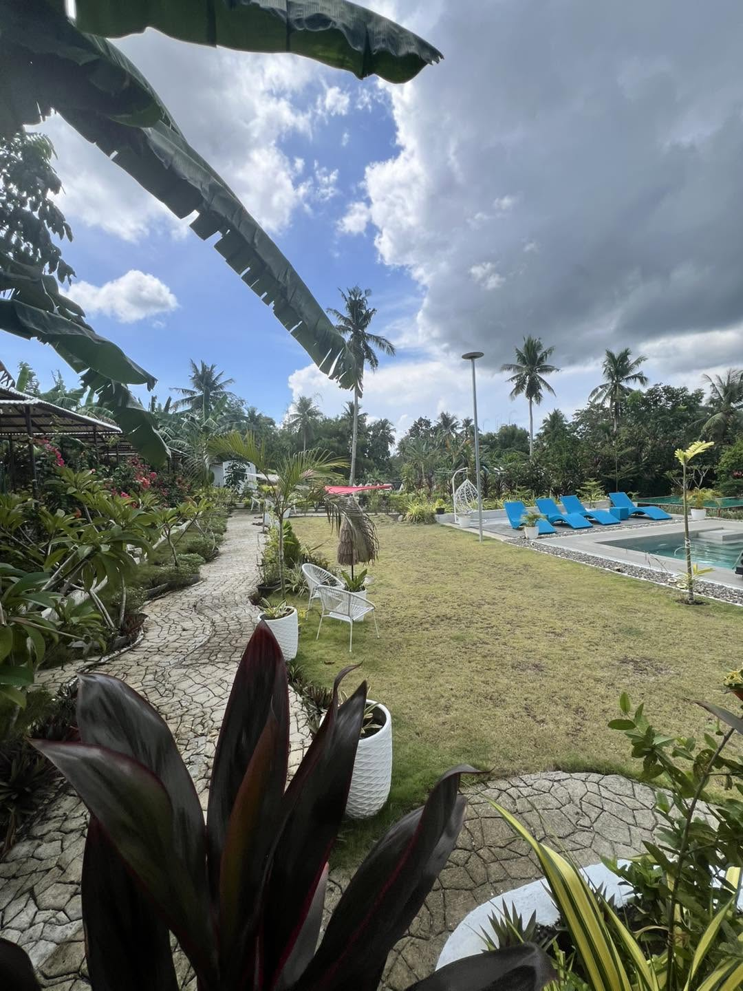 Cebu Business Directory - TARA Farm Resort / Lamini Grill - Photo 3