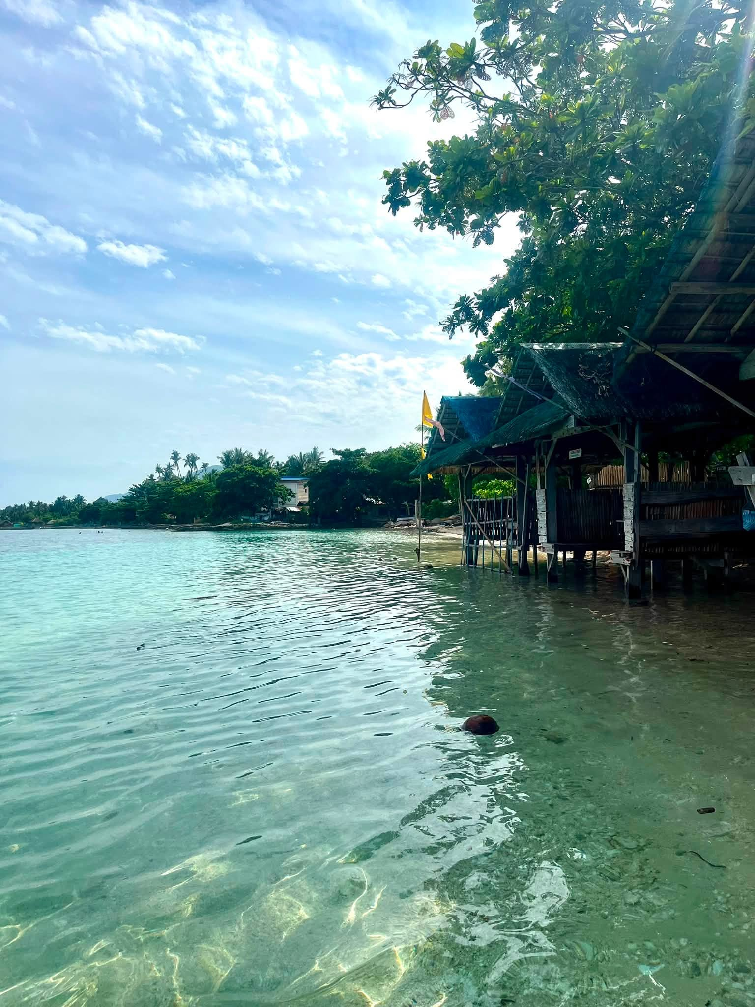 Cebu Business Directory - Aranas Beach Resort - Photo 3