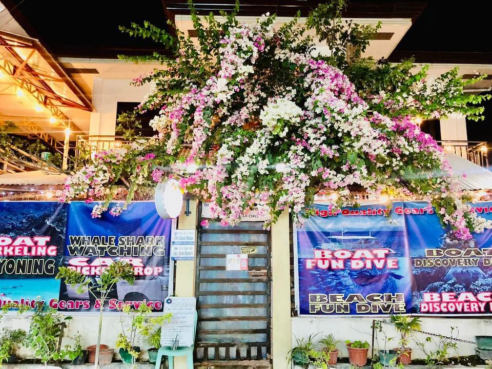 Cebu Business Directory - LION DIVE RESORT - Photo 3