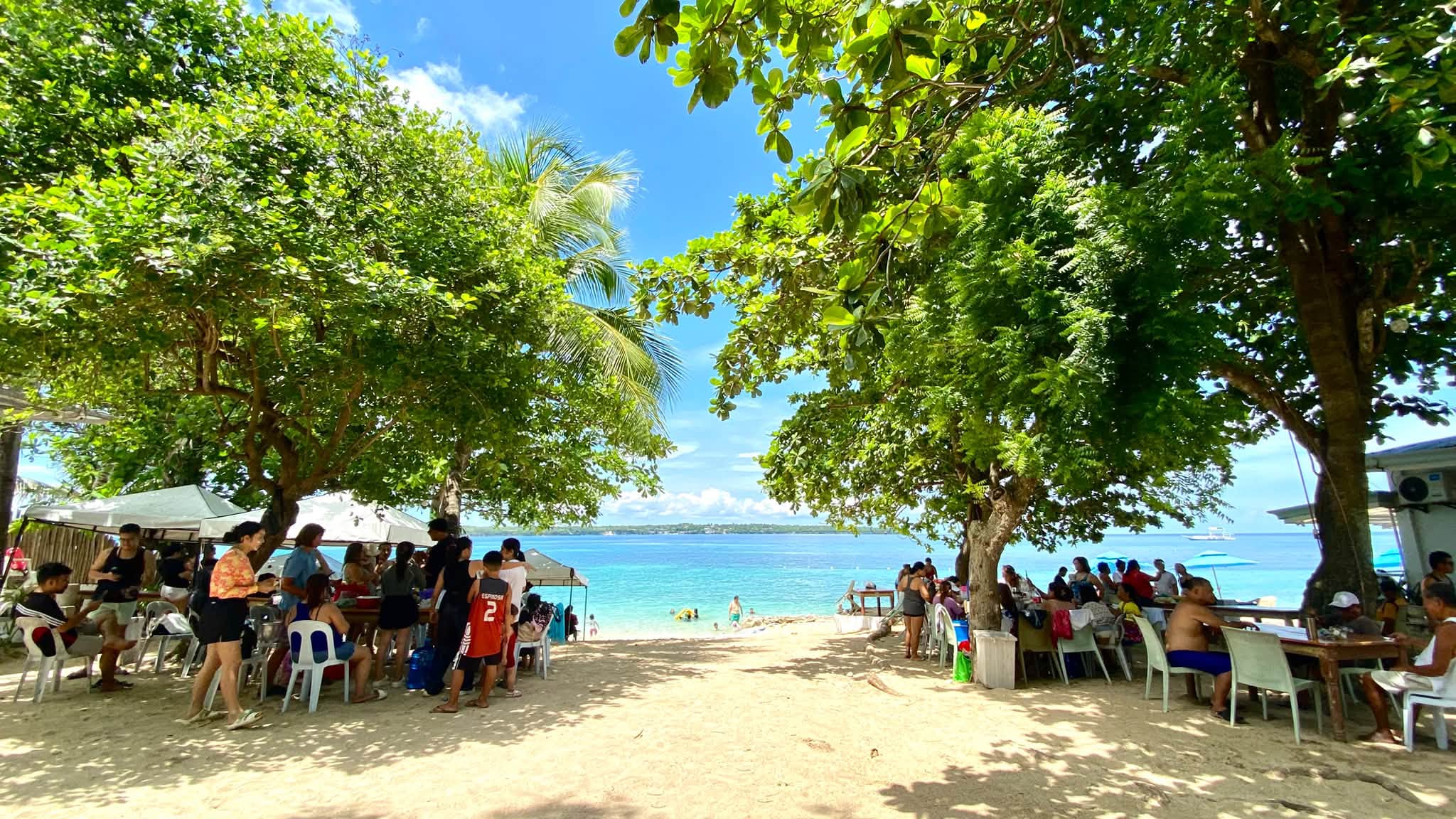 Cebu Business Directory - Paradizzo Beach Resort - Photo 2