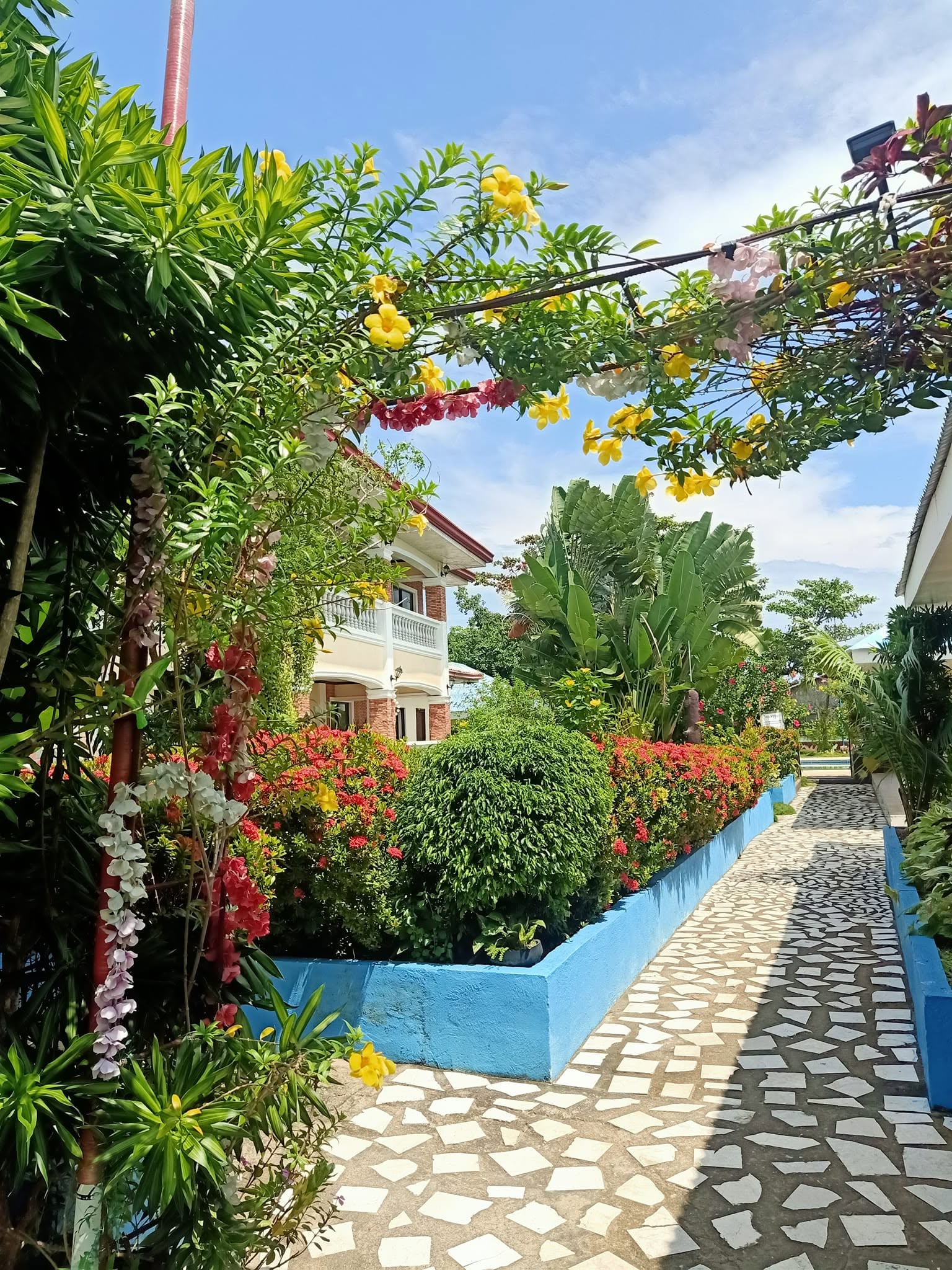 Cebu Business Directory - Looc Garden Beach Resort - Photo 3