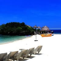 Cebu Business Directory - Coco Grove Nature Resort logo