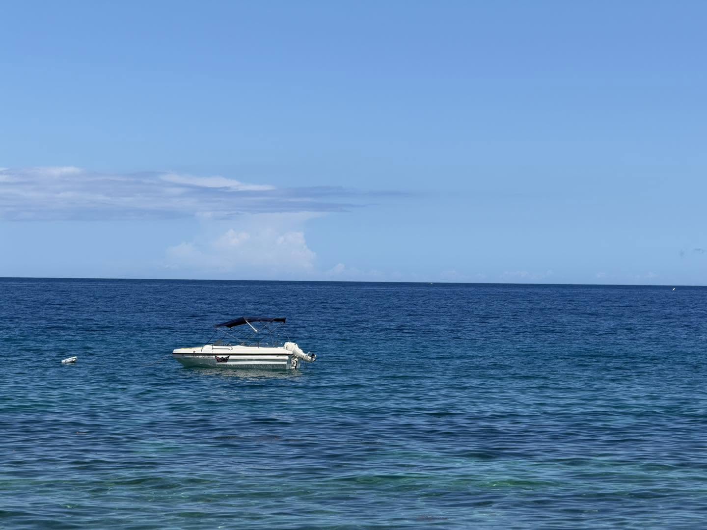 Cebu Business Directory - Lantawan Resort - Gallery 1