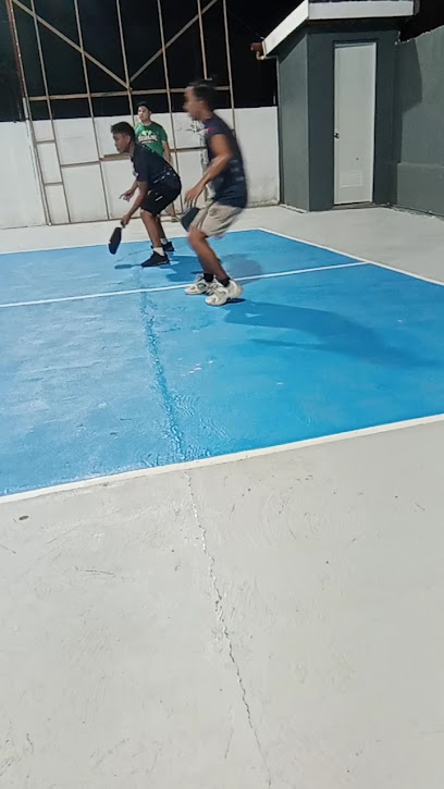 Cebu Business Directory - Baseline Pickleball - Gallery 1