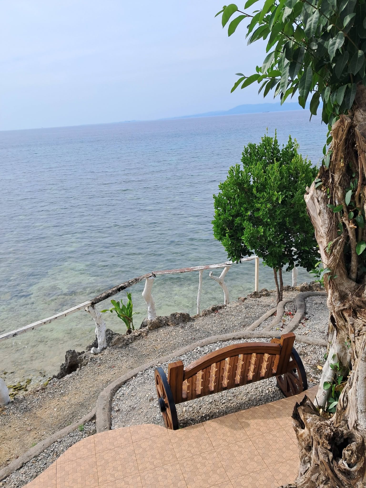 Cebu Business Directory - Poseidon white sand resort and cave - Photo 1