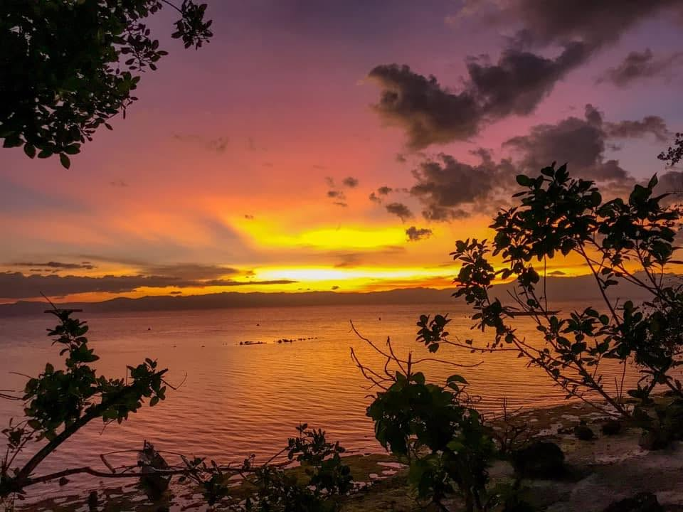Cebu Business Directory - FFG EDEN Resort - Photo 3