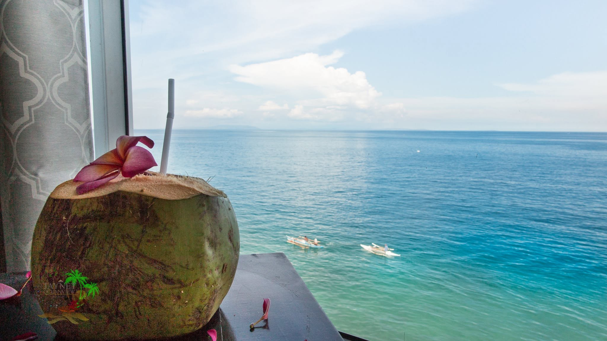 Cebu Business Directory - Jaynet Oceanview Resort - Gallery 2