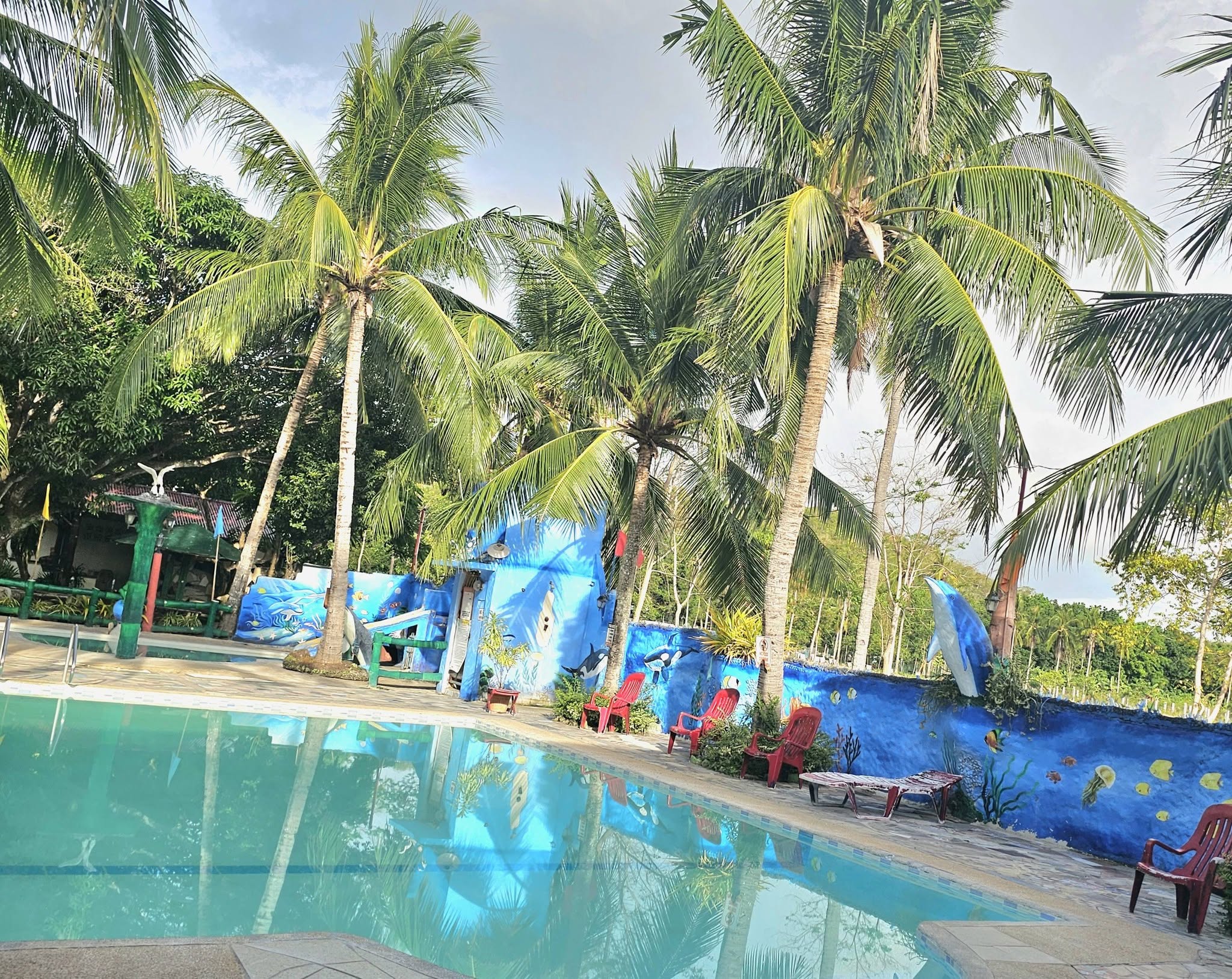 Cebu Business Directory - RINAFE BEACH RESORT - Photo 3