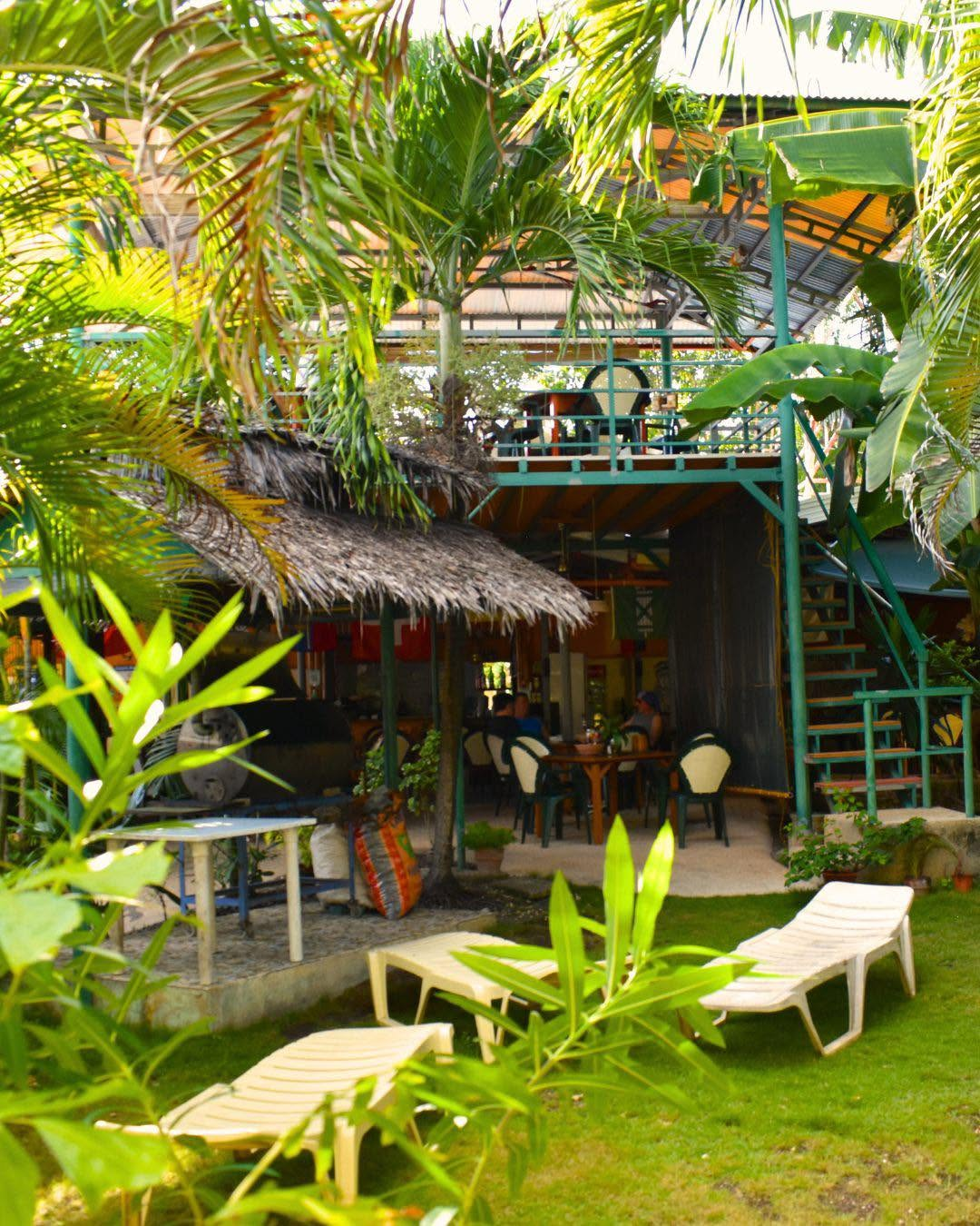 Cebu Business Directory - BLUEABYSSDIVE INN - Photo 1