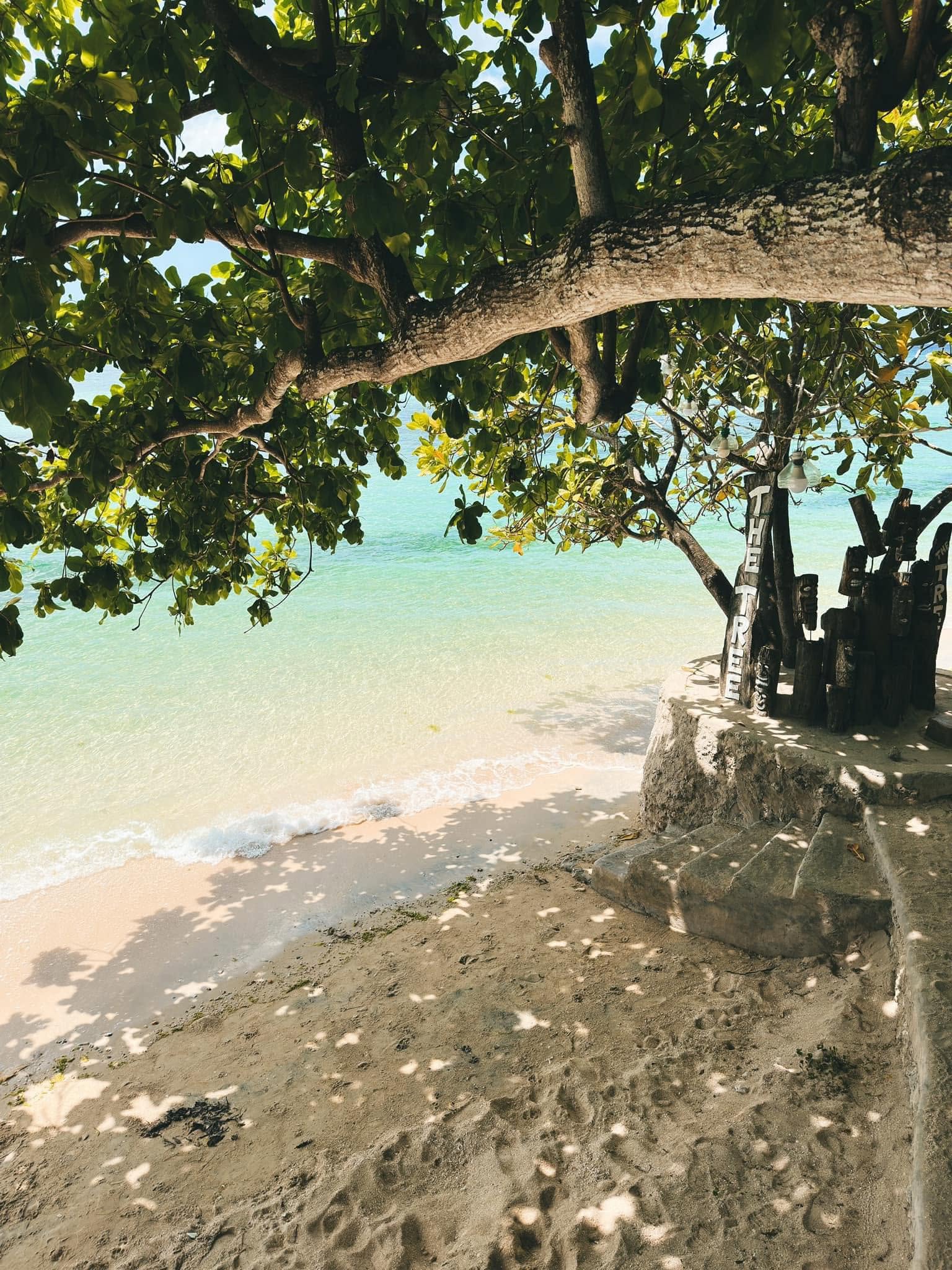 Cebu Business Directory - Tree Sunset Beach Resort - Gallery 3