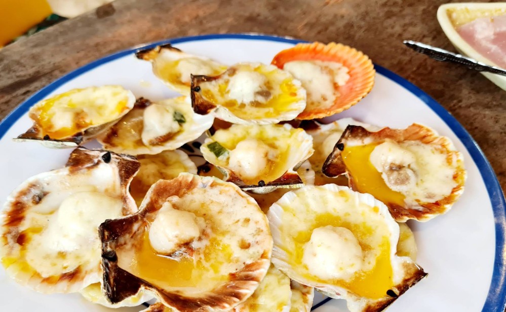 Cebu Business Directory - Pito's - Photo 2