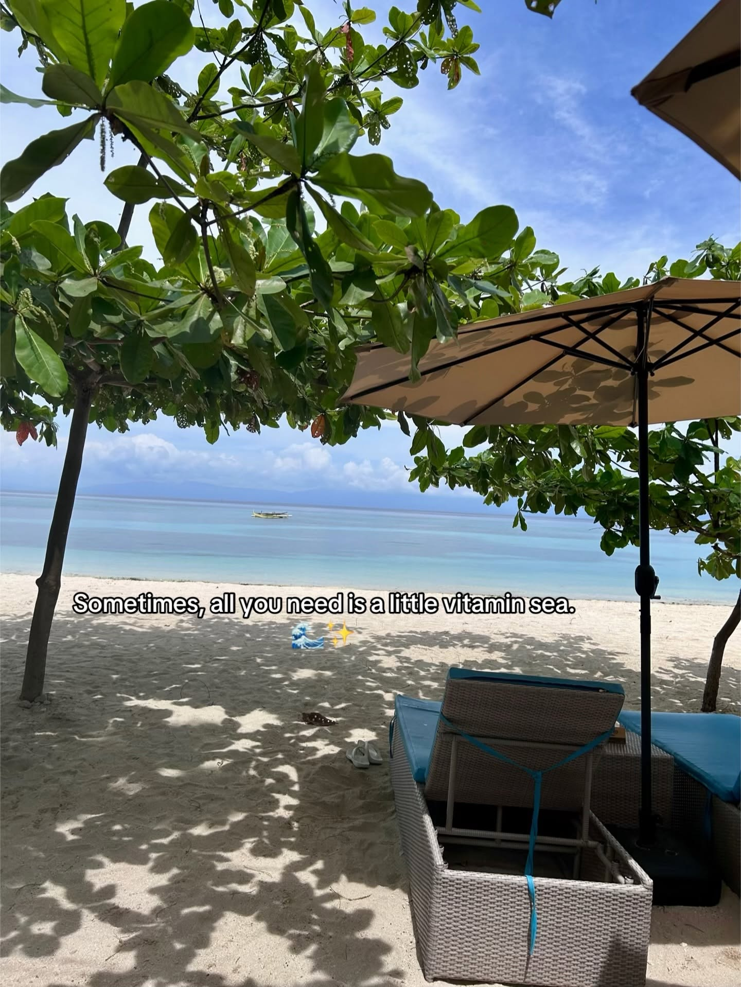 Cebu Business Directory - Marika Resort - Photo 2