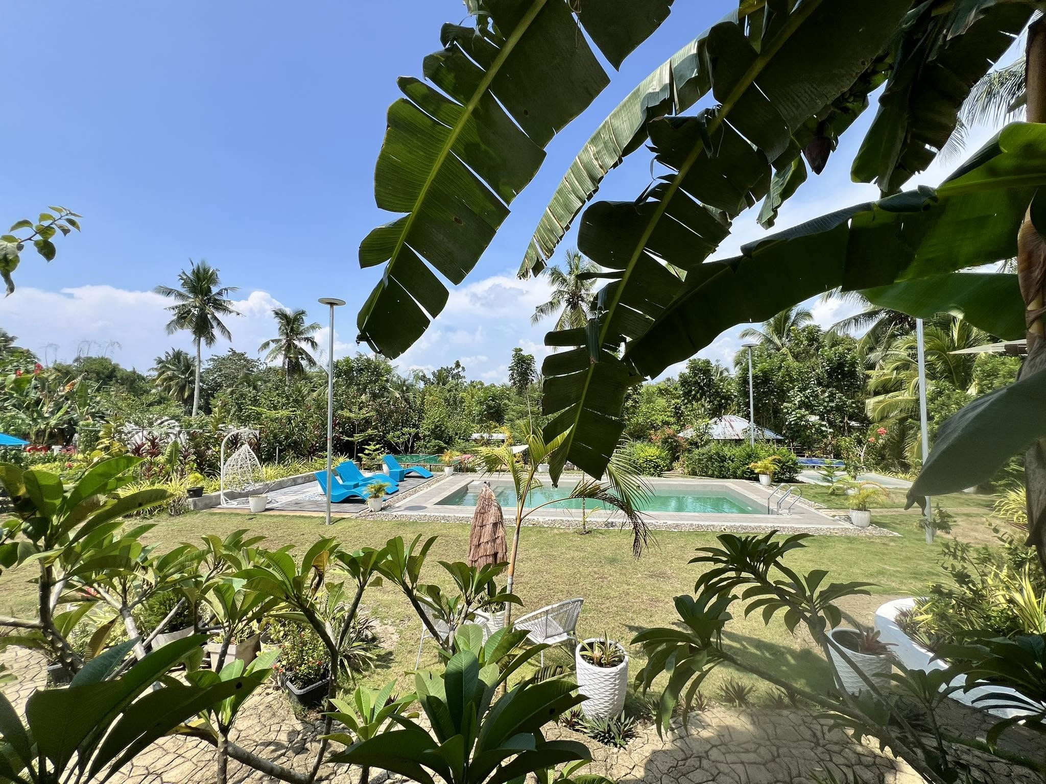 Cebu Business Directory - TARA Farm Resort / Lamini Grill - Photo 2