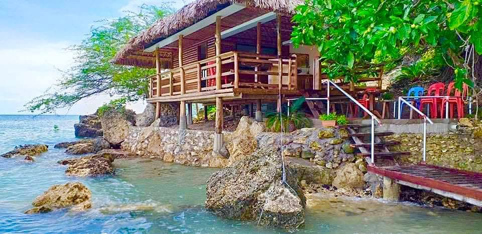Cebu Business Directory - Anahaw Beach Resort - Photo 2