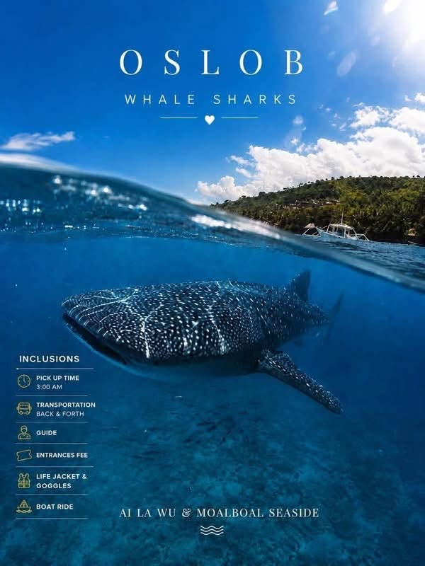 Cebu Business Directory - MoalBoal Seaside Resort - Gallery 3