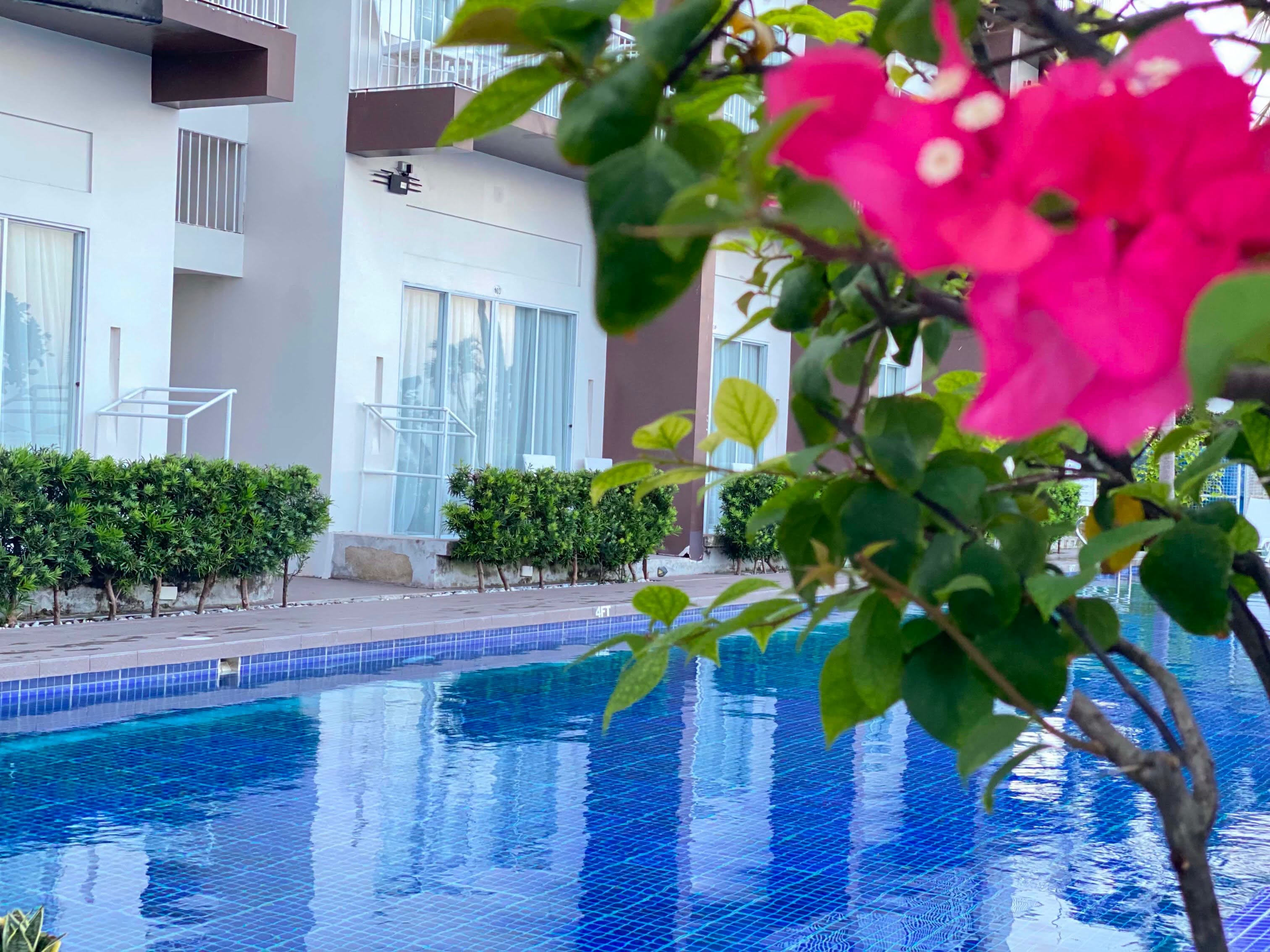 Cebu Business Directory - Main Resort and Hotel Alcoy - Gallery 3