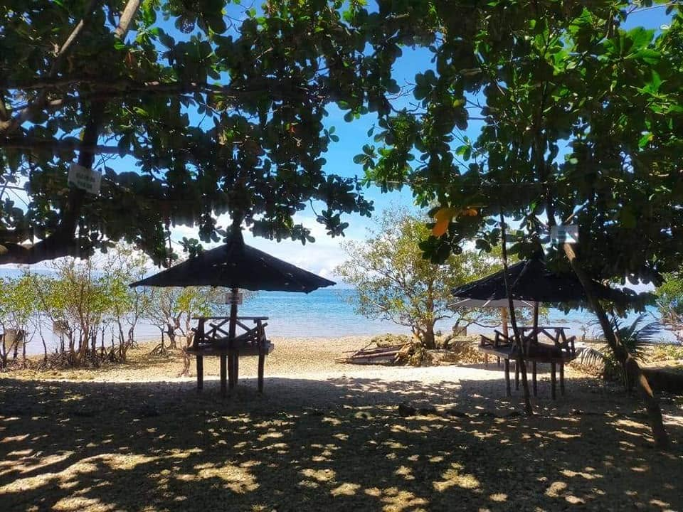Cebu Business Directory - TAGO DIRI - Photo 1