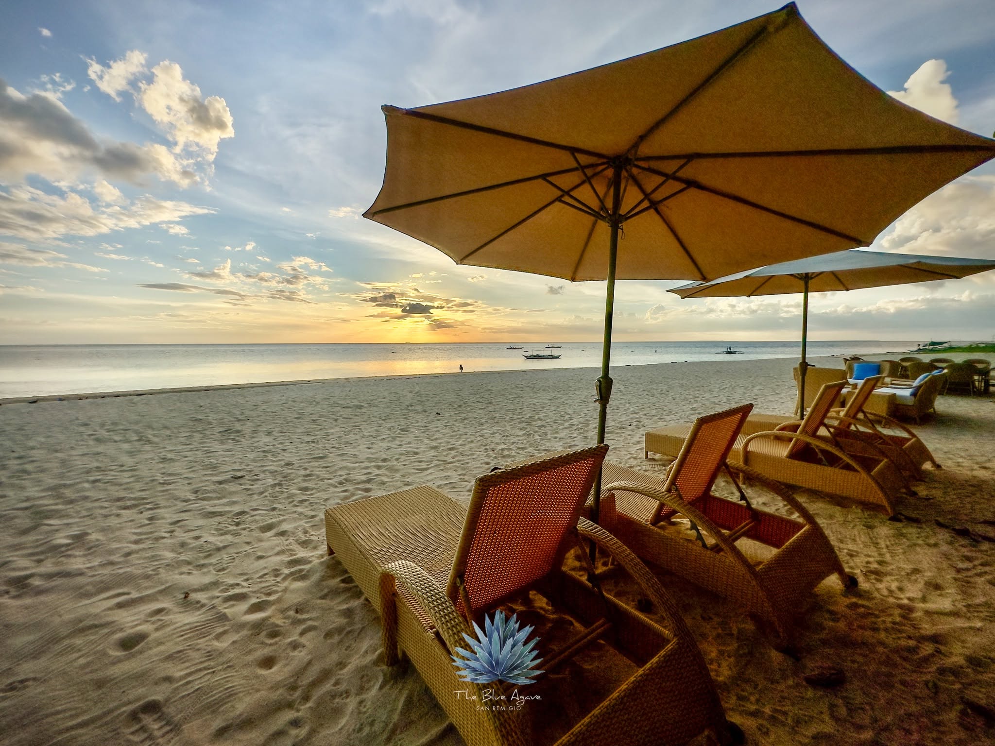 Cebu Business Directory - The Blue Agave - Photo 1