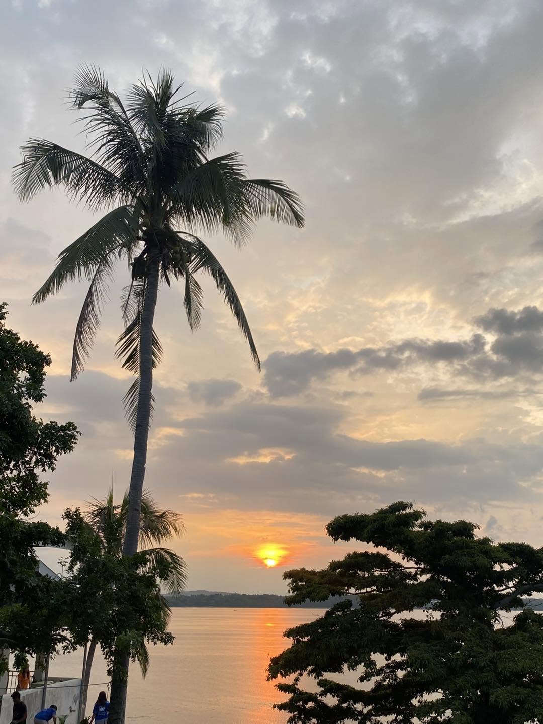 Cebu Business Directory - D & D Coastal Calm Resort - Gallery 3