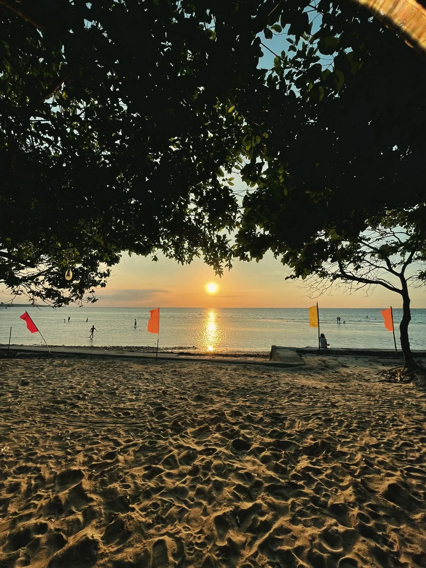 Cebu Business Directory - Half Moon Beach - Photo 3