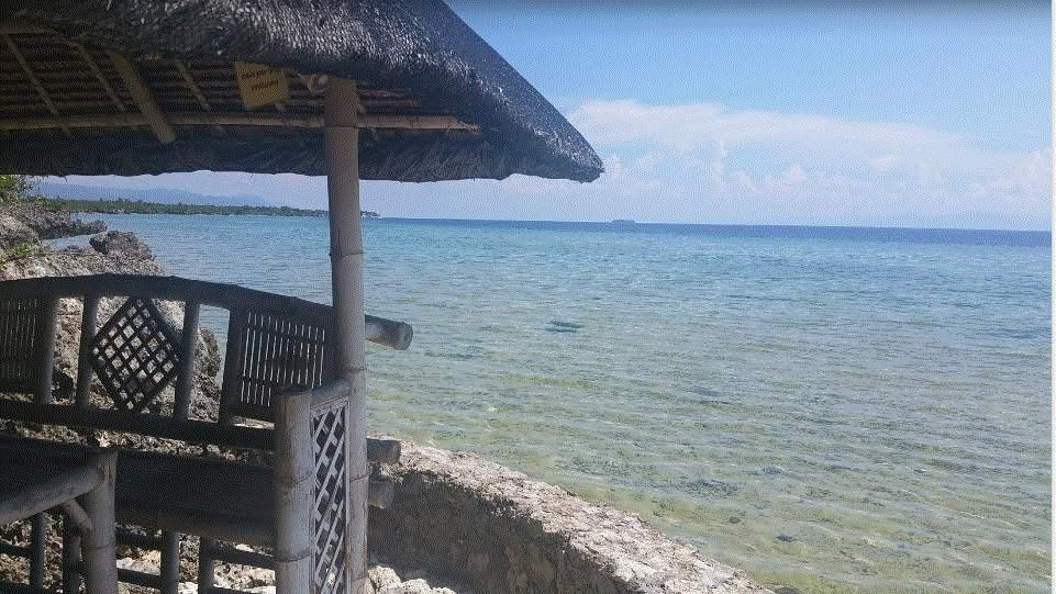 Cebu Business Directory - Sea Turtle House Beach Resort Moalboal - Photo 2