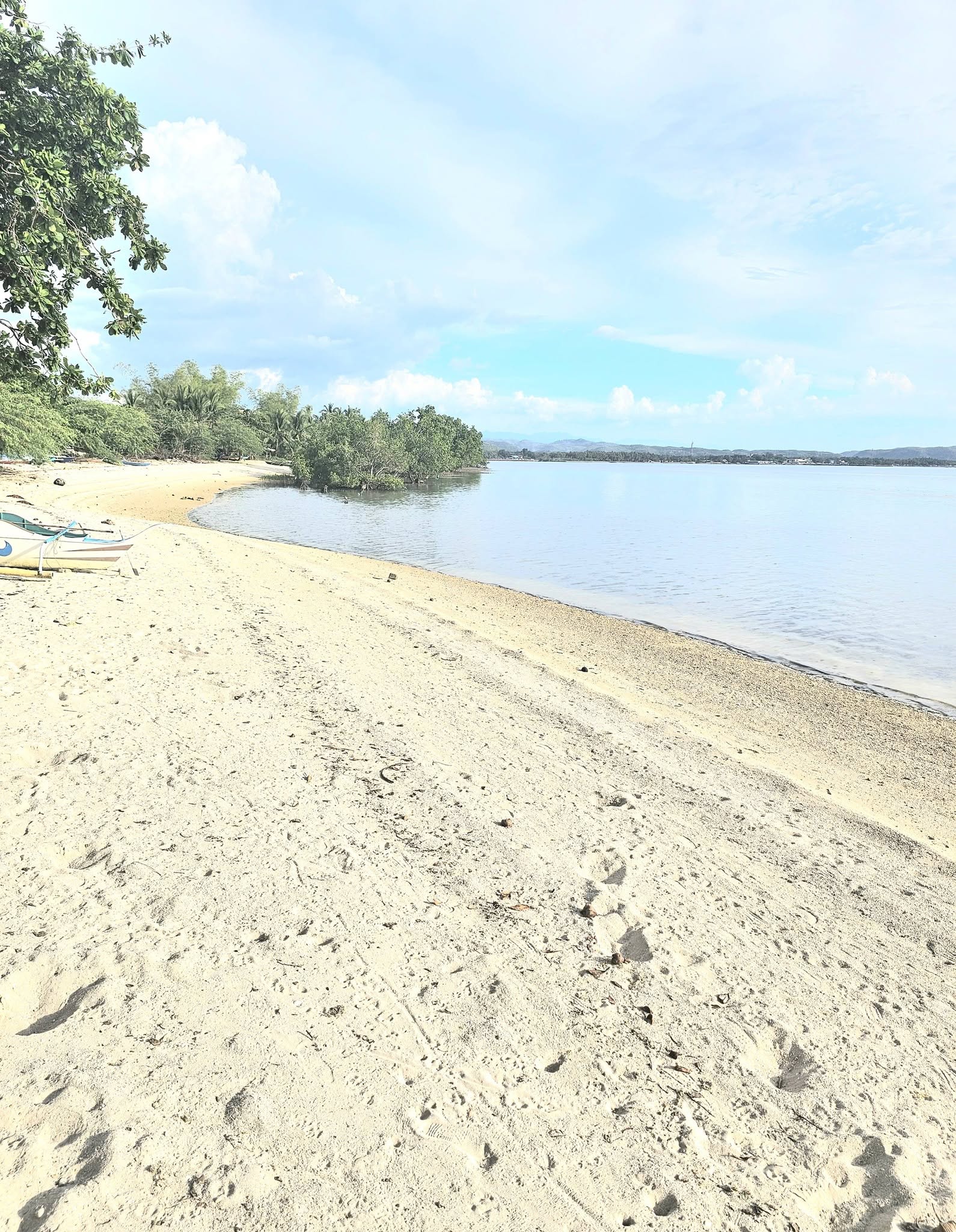 Cebu Business Directory - RINAFE BEACH RESORT - Photo 1