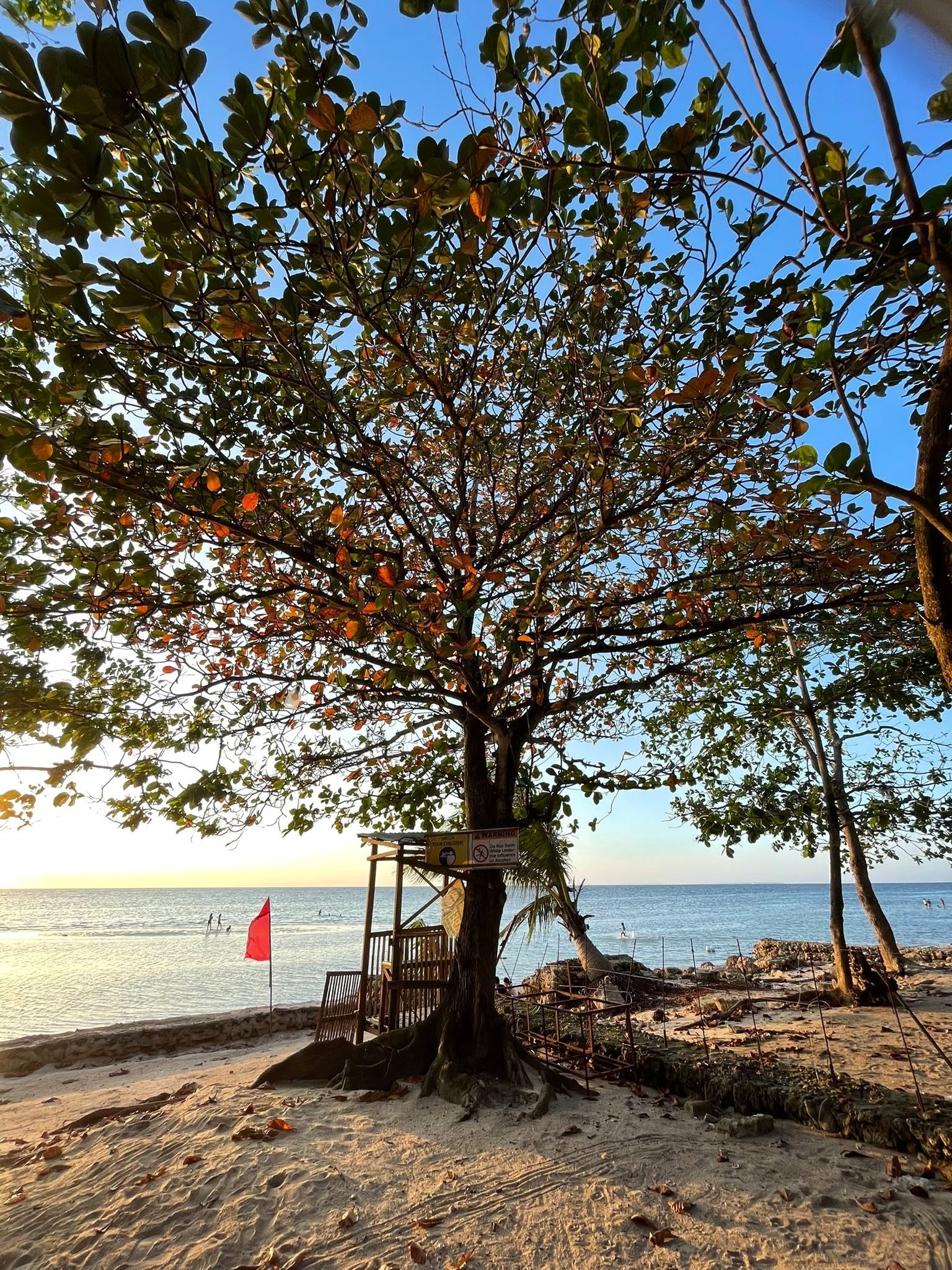 Cebu Business Directory - Half Moon Beach - Photo 2